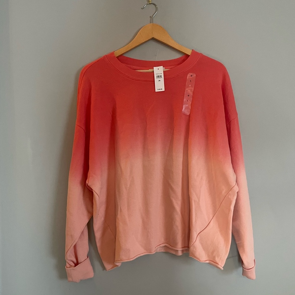 New With Tags Sweater from the Gap